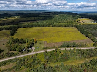 8015 Peacock Rd, Bath, NY 14810