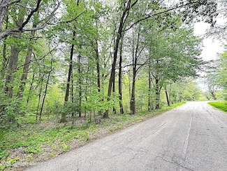 0 Wirt Rd, Mason, MI 48854