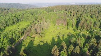 427 Will Warner Rd, South Otselic, NY 13155