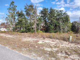 22 Lupine St, Homosassa, FL 34446