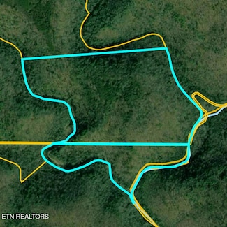 Par 025 Grievers Chapel Rd, Rockwood, TN 37854