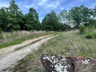 6865 E Highway Aa, Humansville, MO 65674
