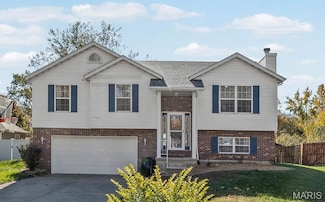 919 Carla Dr, Troy, IL 62294