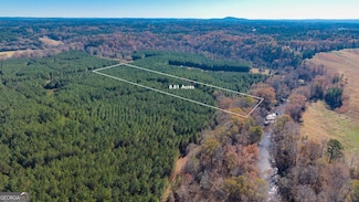 LOT 1 Steadman Rd, Tallapoosa, GA 30176