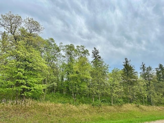 TBD Lot 1 Fairway Trail, Henrietta Township, MN 56470