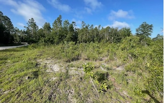 TBD 103rd Dr, Obrien, FL 32071