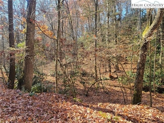 TBD Lake Front Dr, Fleetwood, NC 28626