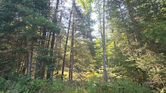 2 Lots Timber Lodge Rd, Rhinelander, WI 54501