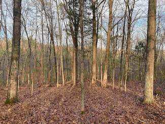 0 Bruton Branch Rd Unit 10140169, Savannah, TN 38372