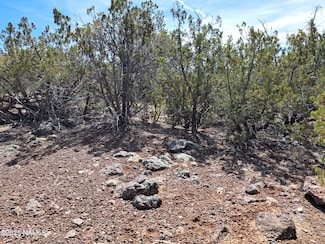 838 Bighorn Trail Unit 10, Williams, AZ 86046