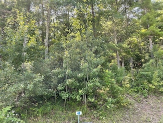 Lot 49 Hemlock Hills Rd, Towanda, PA 18848