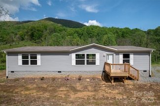 1455 Newfound Rd, Leicester, NC 28748