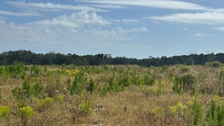 0 Runs Branch Rd Unit 25187346, Newington, GA 30446