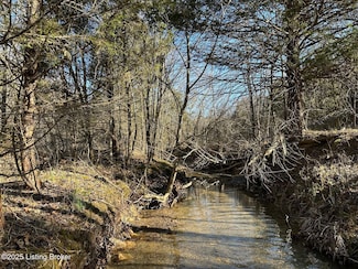 Lot 16 Duvall Rd, Caneyville, KY 42721