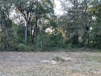 TBD NE 155 Ct, Williston, FL 32696