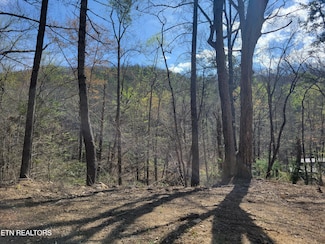 Lot 13 Honeysuckle Ln, Sevierville, TN 37876