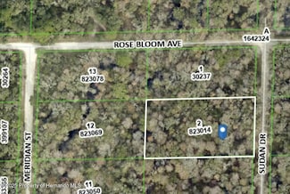 0 Sudan Dr, Webster, FL 33597