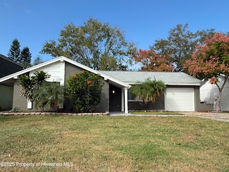 3545 Landale Dr, Holiday, FL 34691