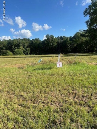 0000 Morgans Ln, Brandon, MS 39042