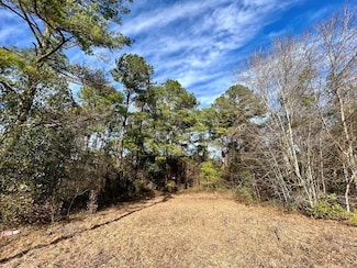545 Loring Mill Rd, Sumter, SC 29150