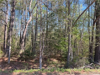 9100 River Rd, Petersburg, VA 23803