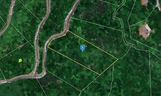 226 Andes Ridge, Ellijay, GA 30536