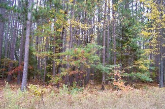 0 Lone Pine Dr Unit Lot 62 277128, Fairview, MI 48621