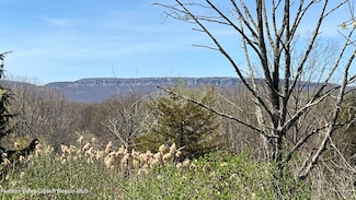 241 New York 208, New Paltz, NY 12561