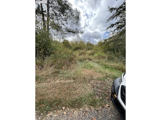 0 Nicholson Rd Unit 238408117, Toledo, WA 98591