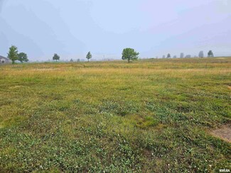 818 Ring Dr, Metamora, IL 61548