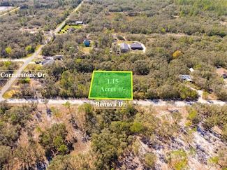 8149 Renova Dr, Webster, FL 33597