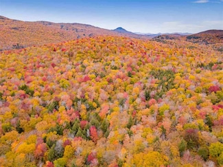 4000 Hardwood Flats Rd, Elmore, VT 05680