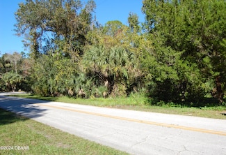 125 Jungle Rd, New Smyrna Beach, FL 32168