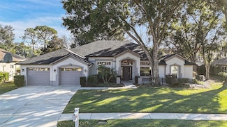 15818 Fairchild Dr, Tampa, FL 33647