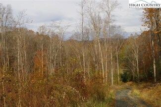 TBD Parker Eller Rd, Lansing, NC 28643