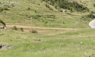 0 Thurlow Ave Unit REC4331978, Cripple Creek, CO 80813
