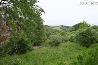 102 Tielcroft Rd, Crumpler, NC 28617