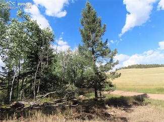 471 Horseshoe Trail, Florissant, CO 80816