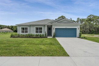 34949 Golden Tree Dr, Leesburg, FL 34788