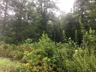 0 Mountain Preserve Ct Unit 1125022, Crab Orchard, TN 37723