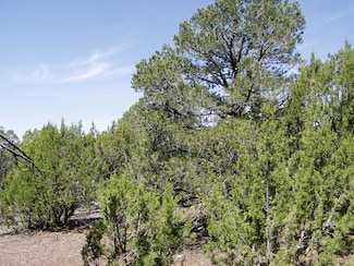 lot 11 Uphill Trail, Vernon, AZ 85924