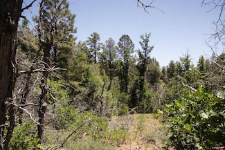 2868 & 2892 Crooked Rd, Pagosa Springs, CO 81147
