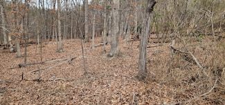 0 Griffin Rd SW, Roanoke, VA 24014