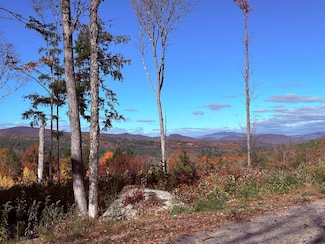 63 Old Winslow Rd, Wilmot, NH 03287