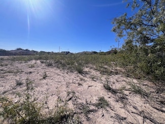 113 N Terry St, Del Rio, TX 78840