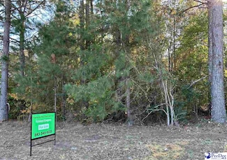 0 S Carolina 9, Cheraw, SC 29520