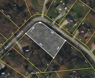 000 Adams St, Spring City, TN 37381