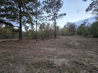 4 Ac Tbd Shad Rd, Williston, SC 29853