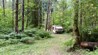 0 Hwy 12 Unit 829110, Randle, WA 98377