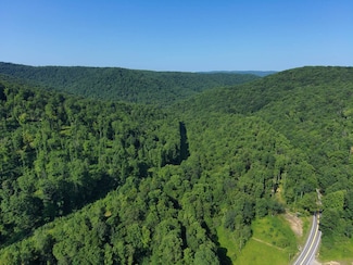 0 Mill St, Mill Creek, WV 26280